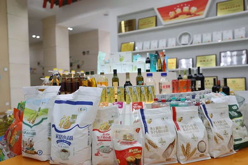 新津縣委書記調(diào)研企業(yè)疫情防控工作,鼓勵企業(yè)化危為機,服務社會